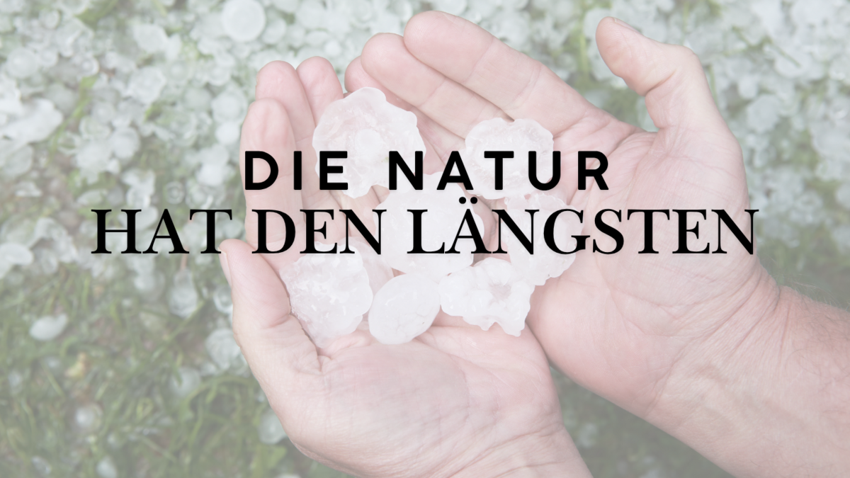 Die Natur hat den Längsten
