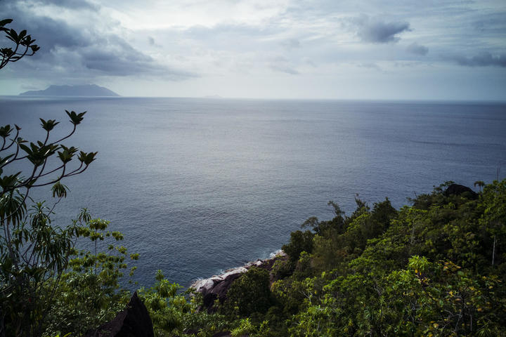 Der Stimme des Körpers folgen - Heilsames Erfahren mit „Focusing“